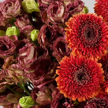 Auburn Whisper | Earthy Elegance