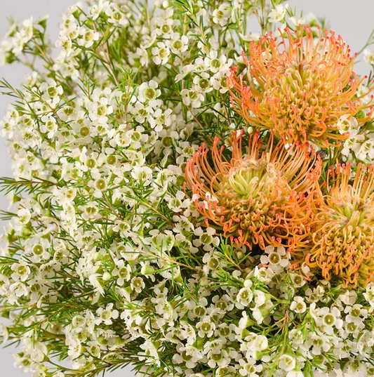 Autumn Sunburst | Bright Harmony