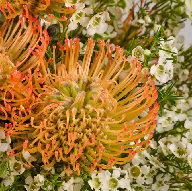 Autumn Sunburst | Bright Harmony