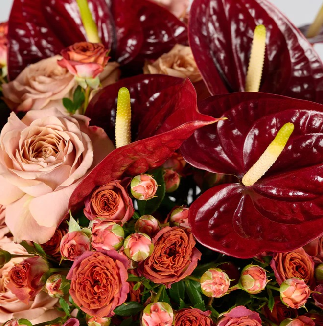 Cinnamon Spice | Warm Sophistication