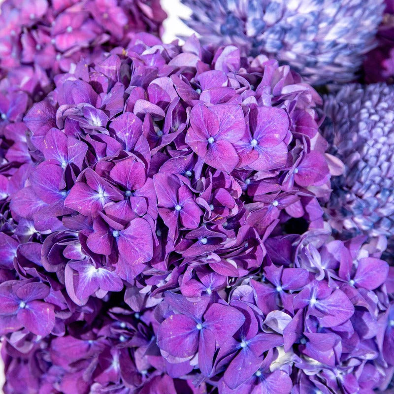 Icicle Enchantment | Winter Elegance