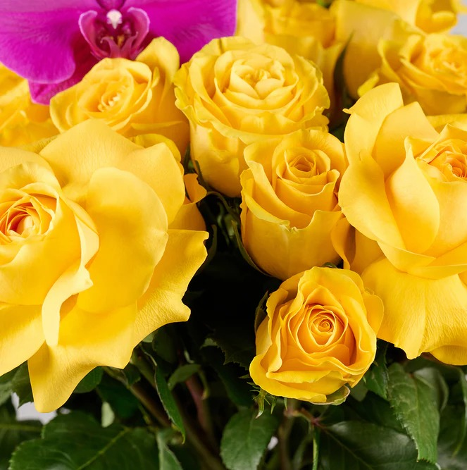 Yellow Blossom | Cheerful Bouquet