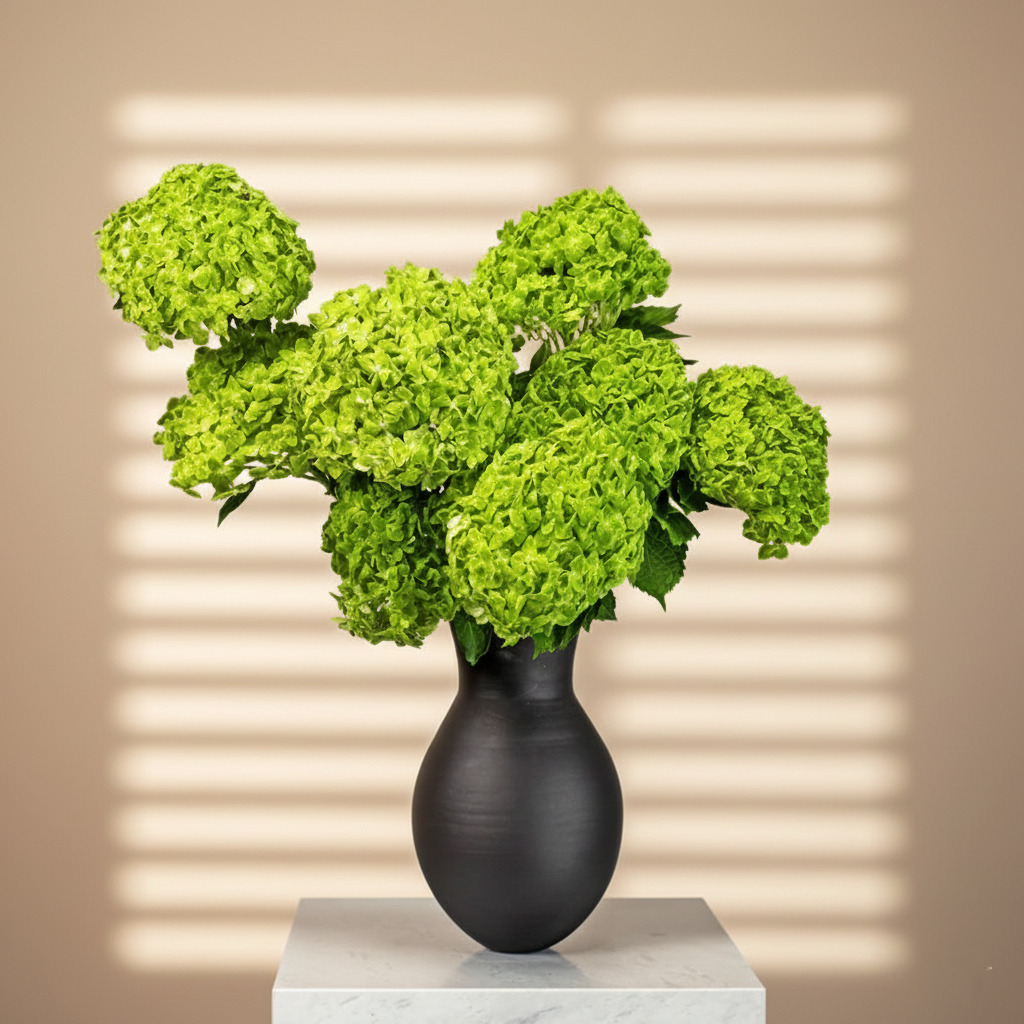 Ajman | Patriotic Freshness