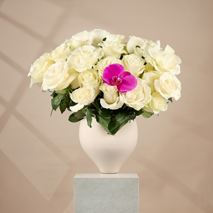 White Petal Delight | Pure Elegance