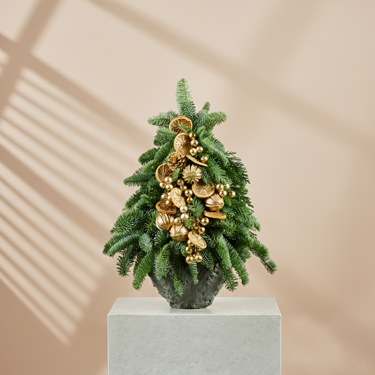 Holy Jolly Wonderland | Festive Charm