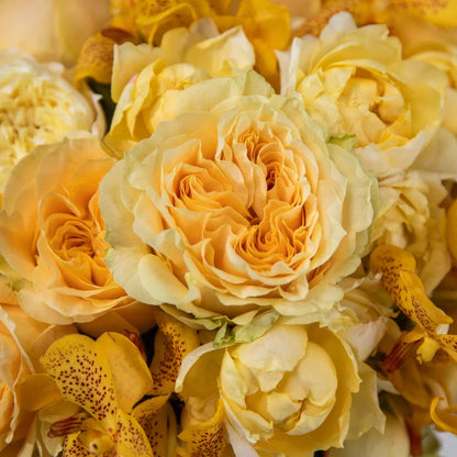 Yellow Fusion | Sunny Cheer Bouquet