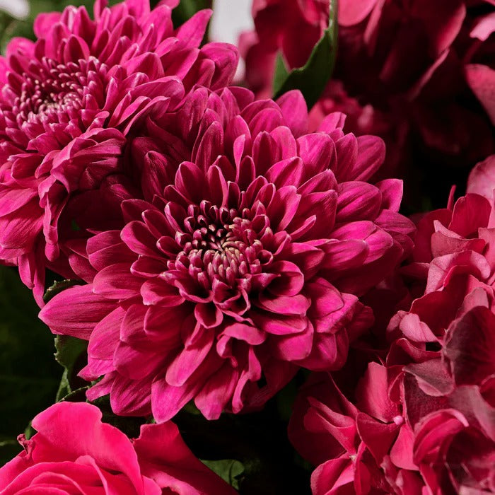 Colette | Autumn Bouquet