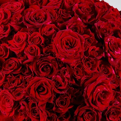 Sweetest Burst | Romantic Bouquet