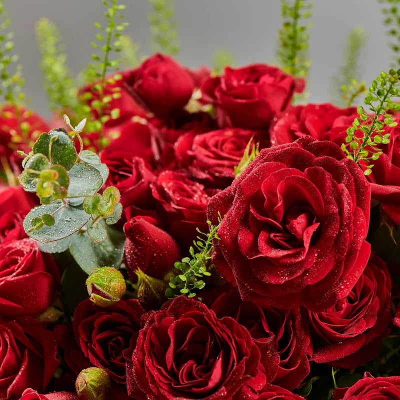 Wild Love 15 | Timeless Romance Bouquet