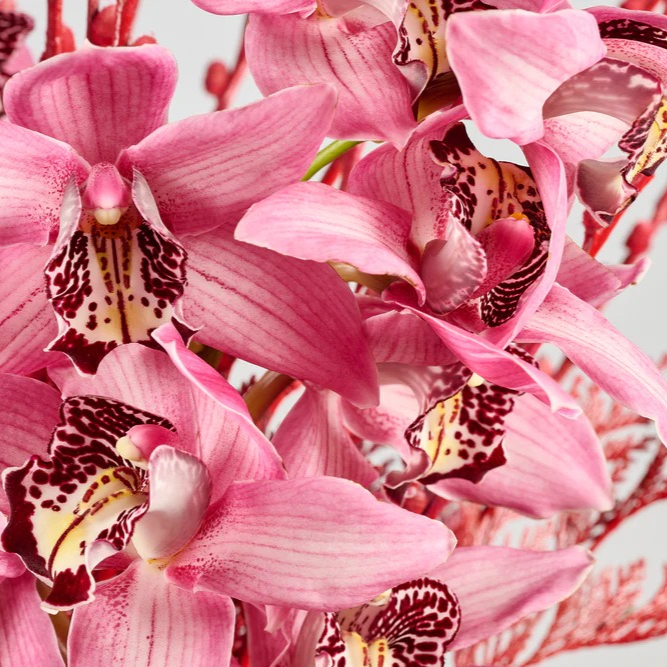 Nutcracker’s Dream | Festive Elegant Vase