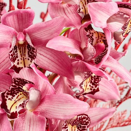 Nutcracker’s Dream | Festive Elegant Vase