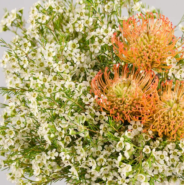 Autumn Sunburst | Bright Harmony