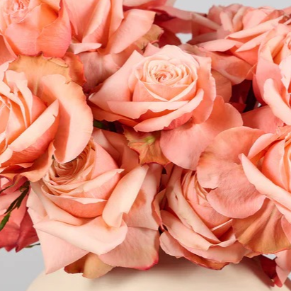 Autumn Whispers | Seasonal Elegance