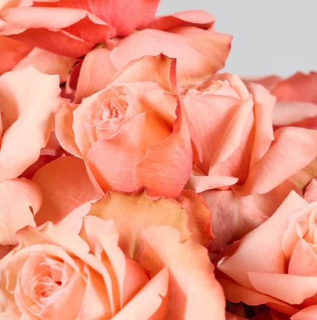 Autumn Whispers | Seasonal Elegance