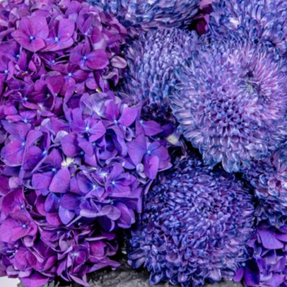 Icicle Enchantment | Winter Elegance