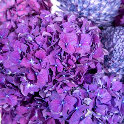 Icicle Enchantment | Winter Elegance