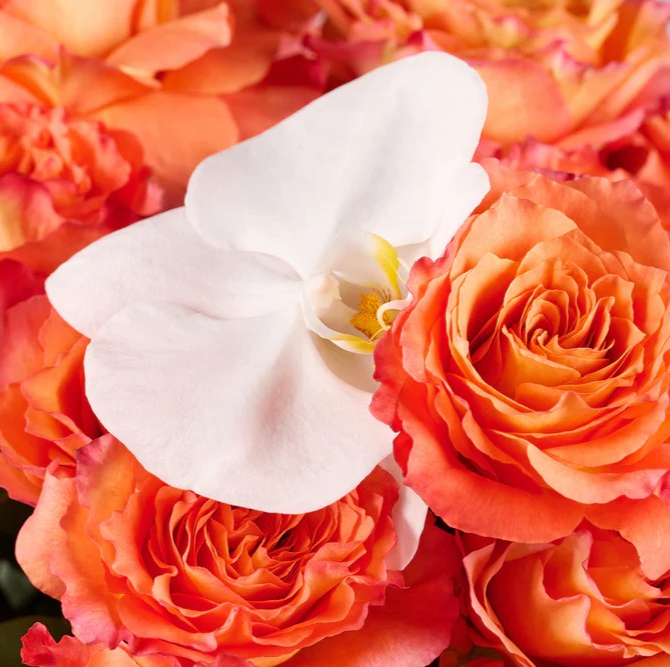 Orange Glow | Vibrant Elegant Bouquet