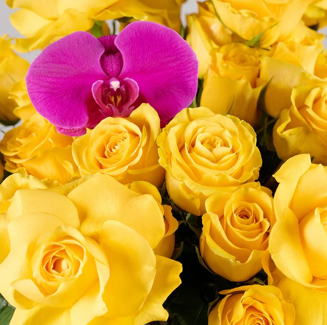 Yellow Blossom | Cheerful Bouquet